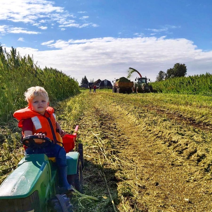 Apartament Ruyge Weyde Logies, Eco Farm Oudewater Zewnętrze zdjęcie